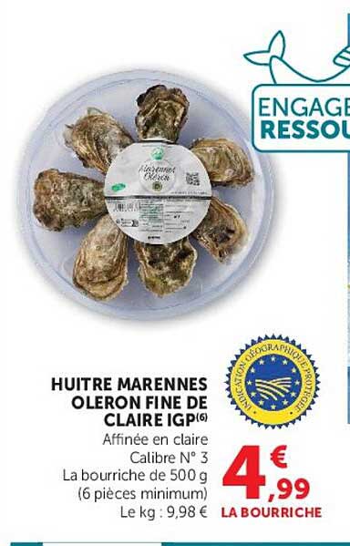 HUITRE MARENNES OLERON FINIE DE CLAIRE IGP(6)