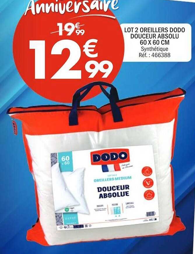LOT 2 OREILLERS DODO DOUCEUR ABSOLU 60 X 60 CM