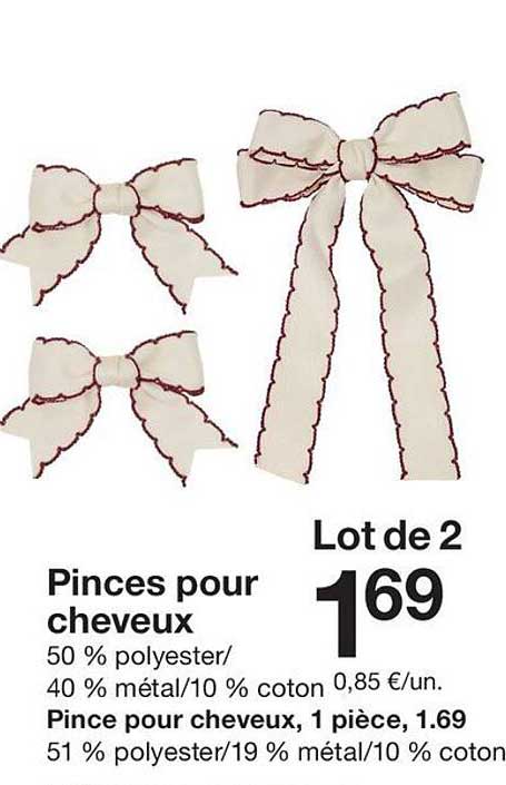 Lot de 2 Pinces pour cheveux