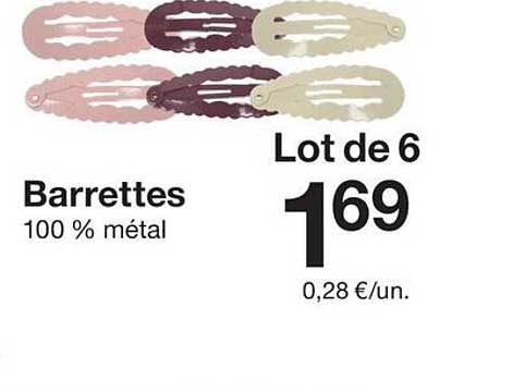 Lot de 6 Barrettes