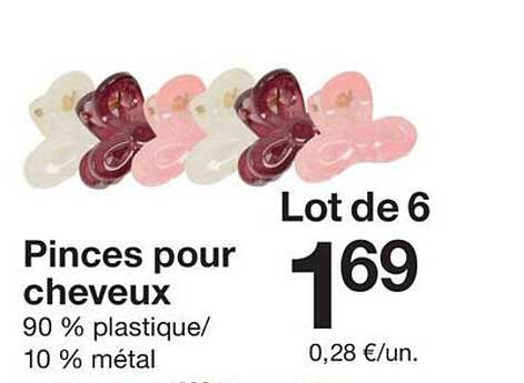 Lot de 6 Pinces pour cheveux