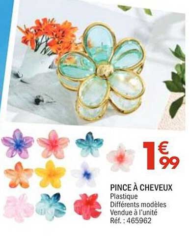 PINCE À CHEVEUX