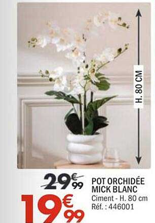 POT ORCHIDÉE MICK BLANC