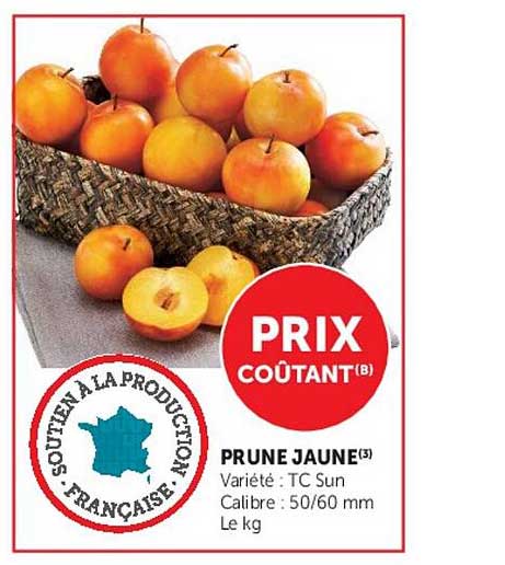 PRUNE JAUNE(3)