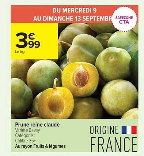 Prune reine claude