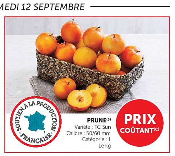 PRUNE(6)