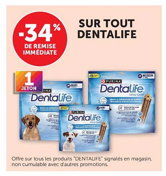 SUR TOUT DENTALIFE