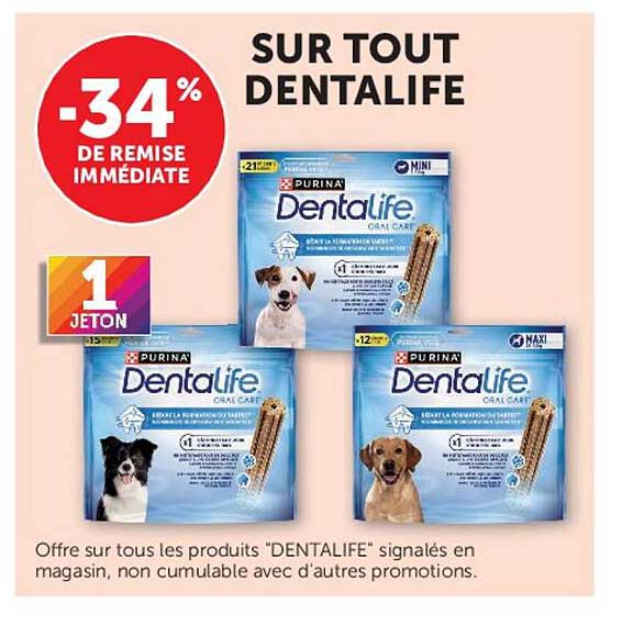 SUR TOUT DENTALIFE