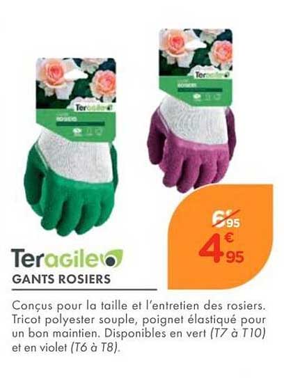TeraGile GANTS ROSIERS
