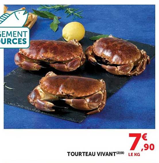 TOURTEAU VIVANT(2)(B)