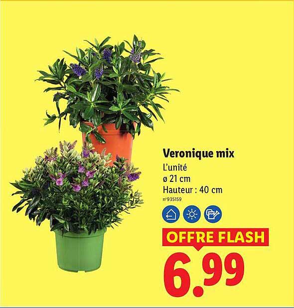 Veronique mix