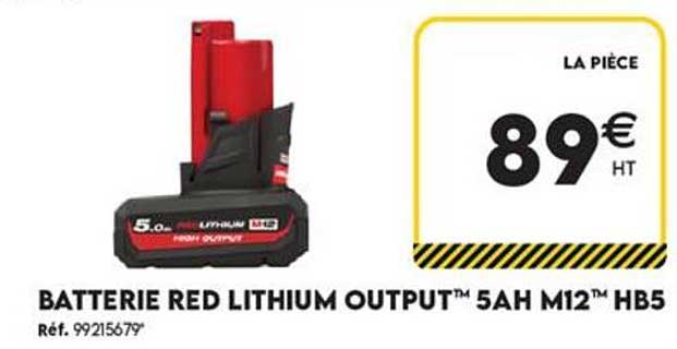 BATTERIE RED LITHIUM OUTPUT™ 5AH M12™ HB5