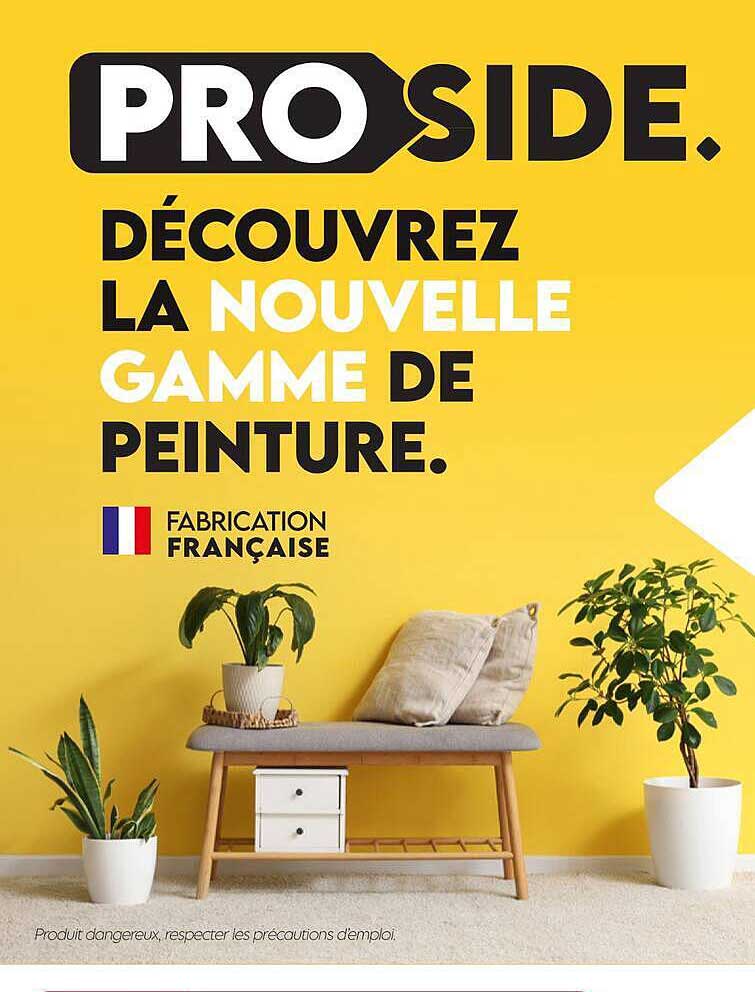 DÉCOUVREZ LA NOUVELLE GAMME DE PEINTURE.