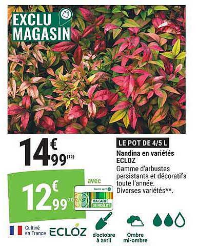 EXCLU MAGASIN