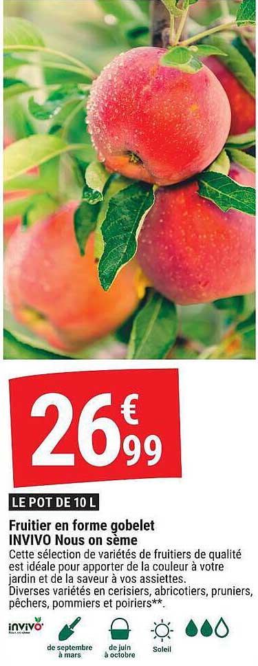 Fruitiers en forme gobelet INVIVO Nous on sème