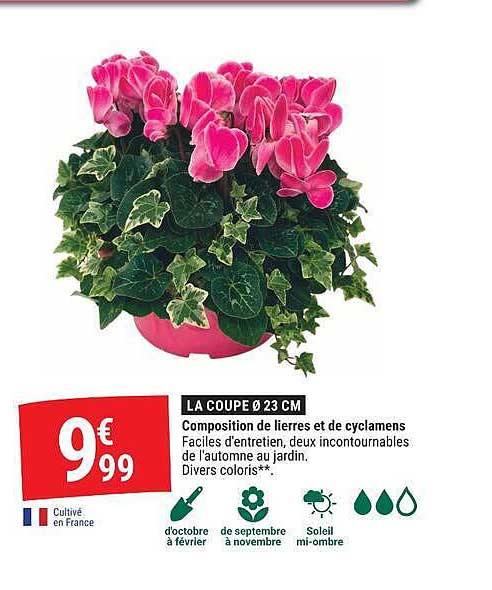 LA COUPE Ø 23 CM