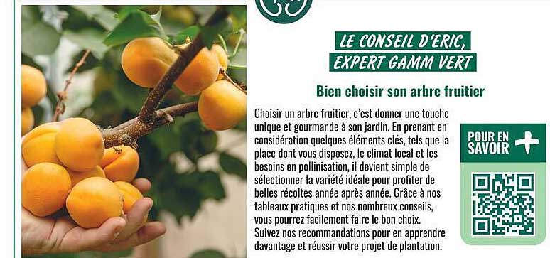 Le conseil d’ERIC, expert GAMM VERT - Bien choisir son arbre fruitier