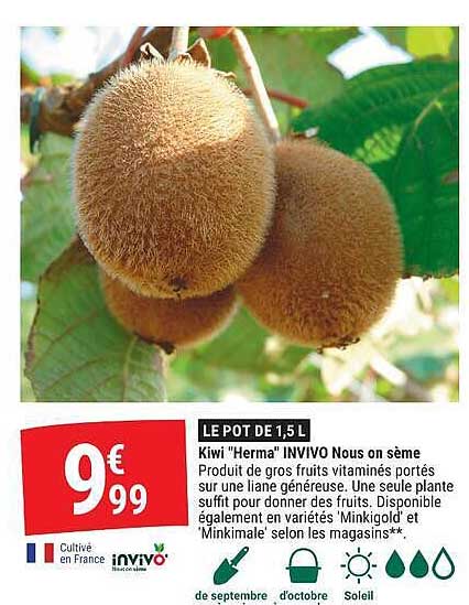 LE POT DE 1,5 L Kiwi "Herma" INVIVO Nous on sème