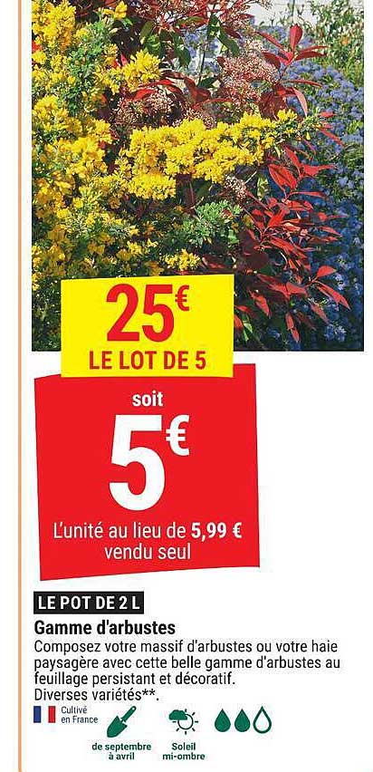 LE POT DE 2 L Gamme d'arbustes
