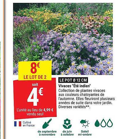 LE POT Ø 12 CM Vivaces "Été indien"