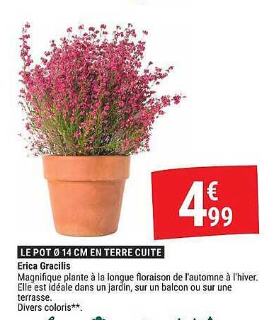LE POT Ø 14 CM EN TERRE CUITE