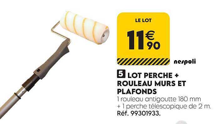 LOT PERCHE + ROULEAU MURS ET PLAFONDS