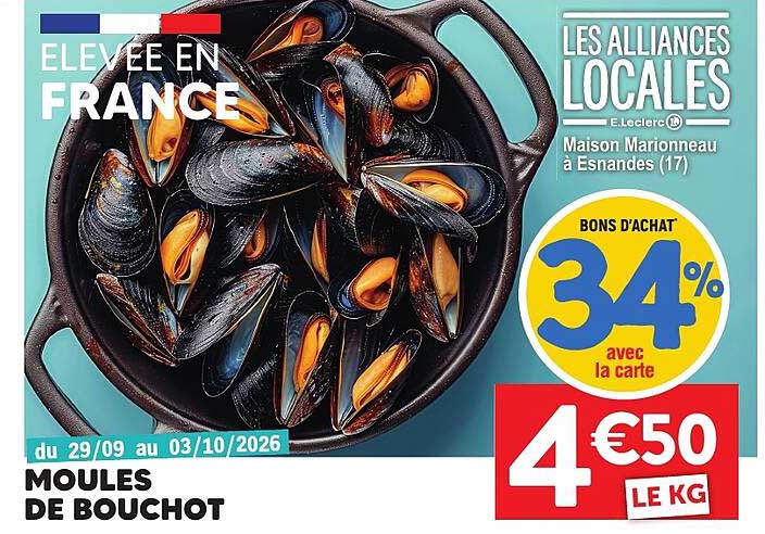 MOULES DE BOUCHOT