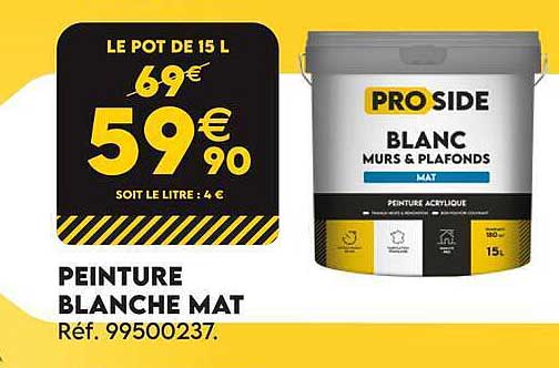 PEINTURE BLANCHE MAT