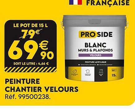 PEINTURE CHANTIER VELOURS