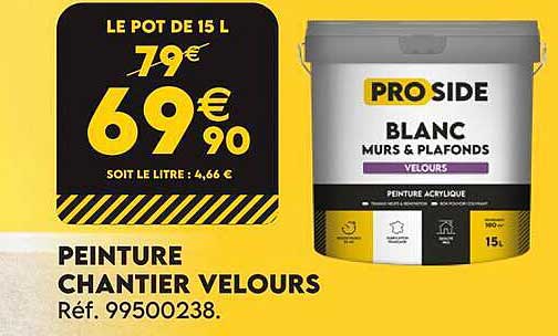 PEINTURE CHANTIER VELOURS