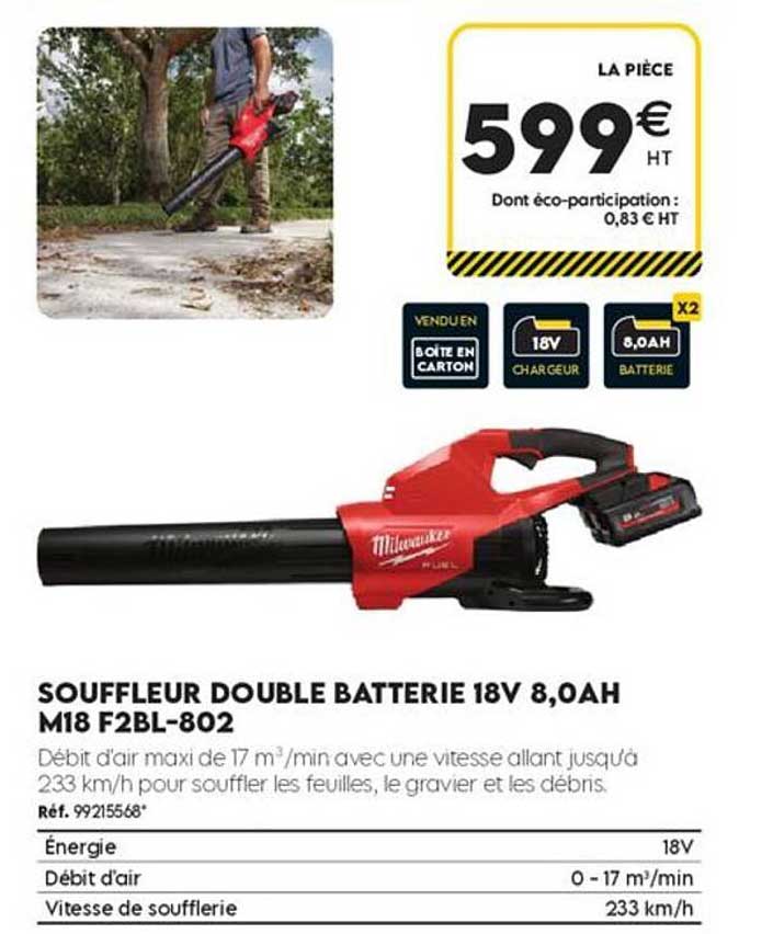 SOUFFLEUR DOUBLE BATTERIE 18V 8,0AH M18 F2BL-802