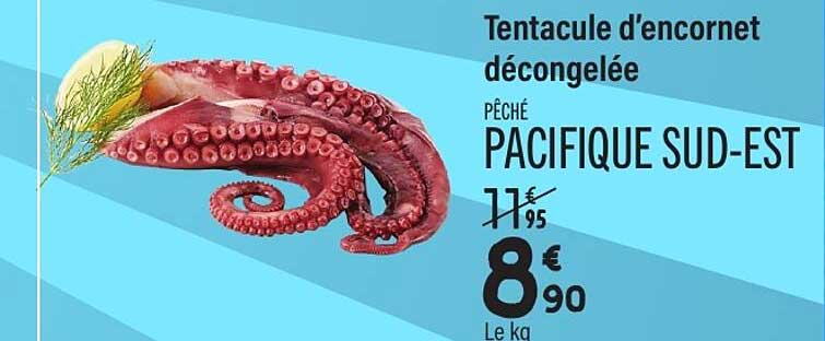 Tentacule d'encornet décongelée