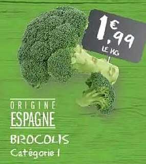 Brocolis - Origine Espagne