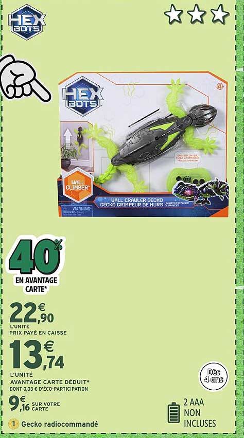 Gecko grimpeur de murs