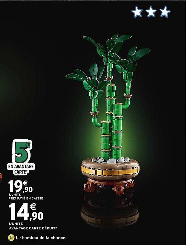 Le bambou de la chance