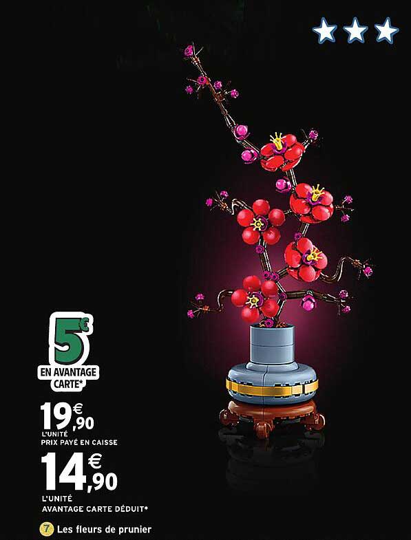 Les fleurs de prunier