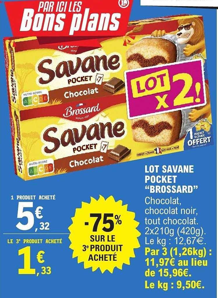 LOT SAVANE POCKET "BROSSARD"