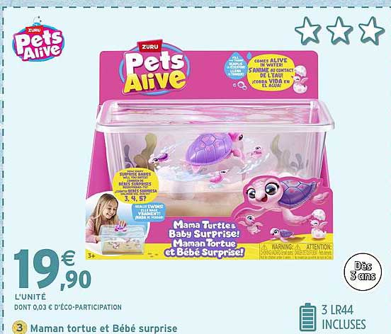 Maman tortue et Bébé surprise