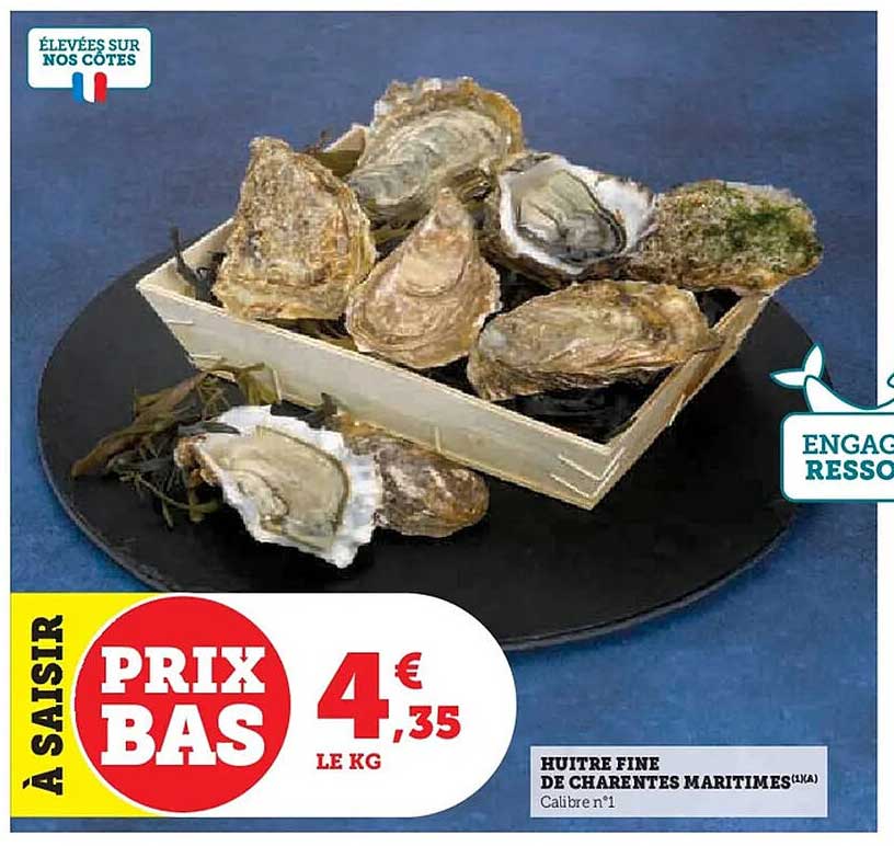 HUITRE FINE DE CHARENTES MARITIMES (N°1)