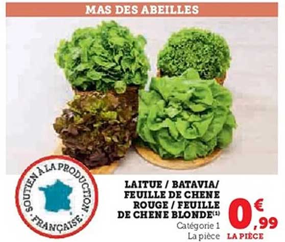 MAS DES ABEILLES - LAITUE / BATAVIA / FEUILLE DE CHÊNE ROUGE / FEUILLE DE CHÊNE BLONDE