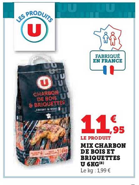 MIX CHARBON DE BOIS ET BRIQUETTES U 6KG