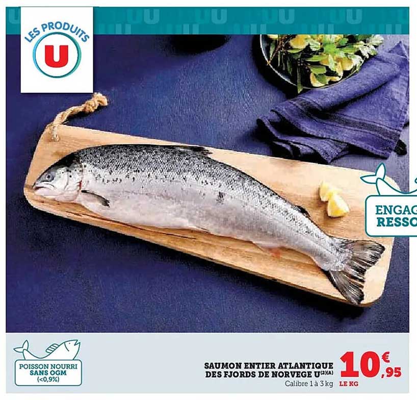 SAUMON ENTIERS ATLANTIQUE DES FJORDS DE NORVEGE U (1/2)
