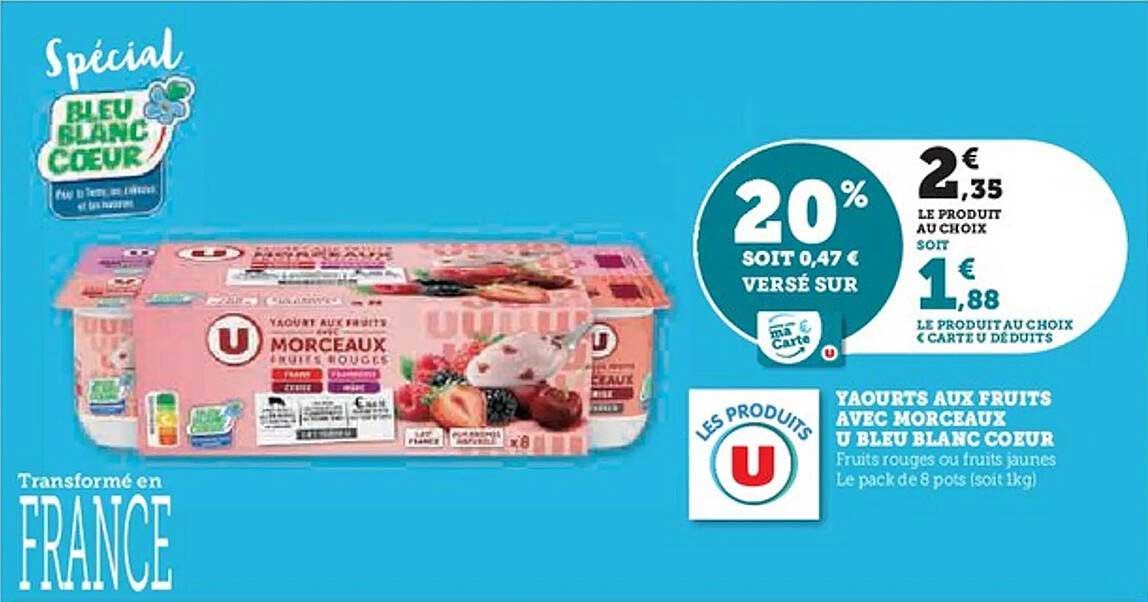 YAOURTS AUX FRUITS AVEC MORCEAUX U BLEU BLANC COEUR