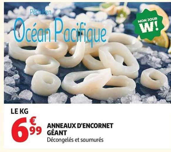 Anneaux d'encornet géant