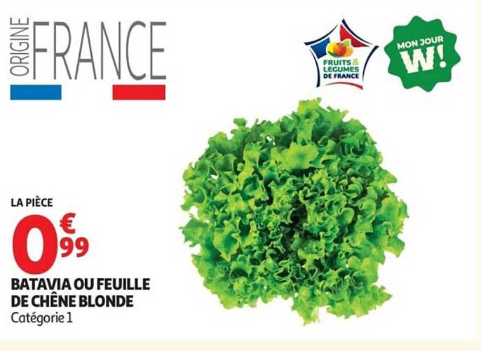 BATAVIA OU FEUILLE DE CHÊNE BLONDE
