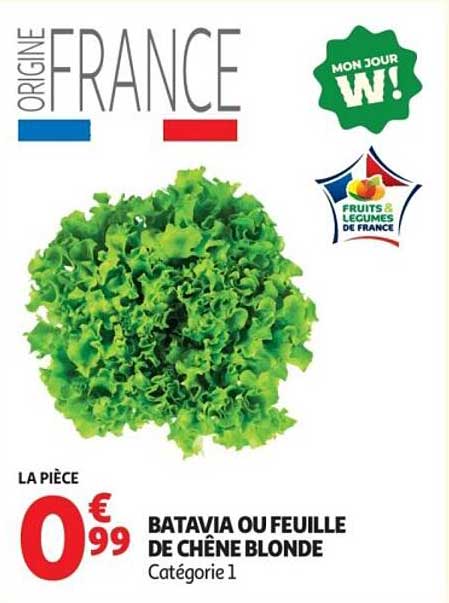 BATAVIA OU FEUILLE DE CHÊNE BLONDE