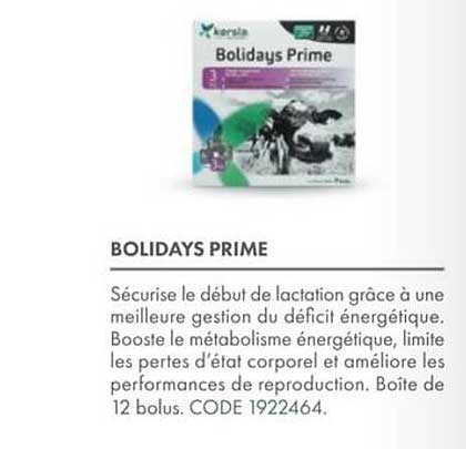 BOLIDAYS PRIME