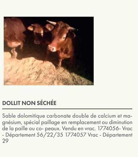 DOLLIT NON SÉCHÉE
