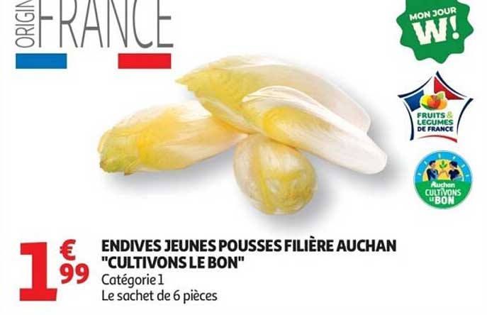 ENDIVES JEUNES POUSSES FILIÈRE AUCHAN "CULTIVONS LE BON"
