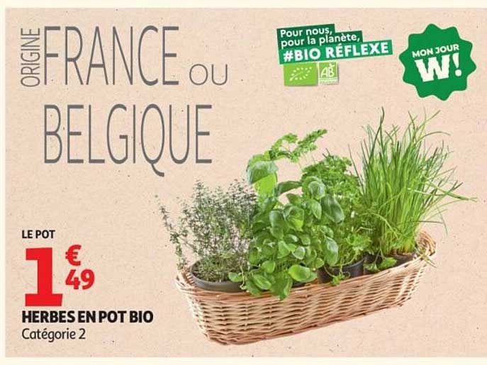 HERBES EN POT BIO